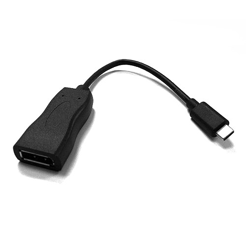 USB 3.1 & DP adapter cable