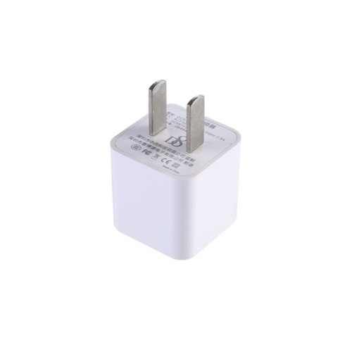 2 flat pin power plug adapter