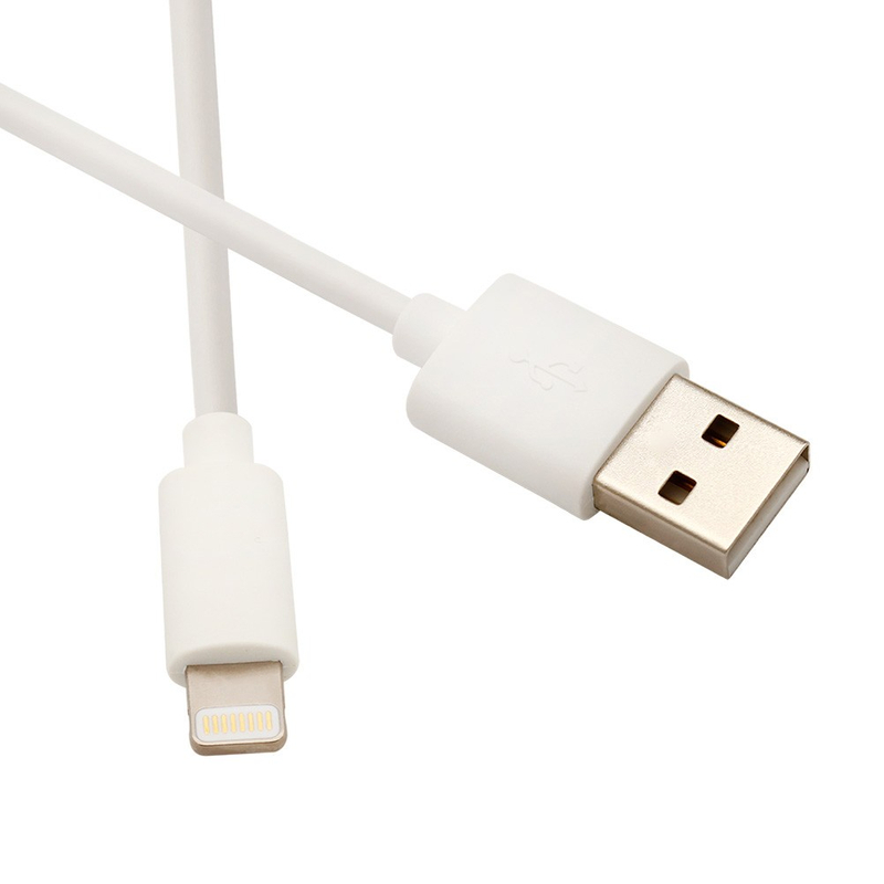 USB 2.0 AM/Lightning cable