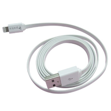 3-27 USB AM & I-PHONE 5 white