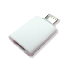 15-28 MICRO to I-PHONE 5 Adapter Plug